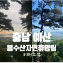봉수산자연휴양림(수목원) 주차장 | 예산 봉수산자연휴양림 1박 2일 솔직 후기 :) (feat. 예당호 뷰)