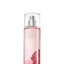BBW/Bath and Body Works/배쓰앤바디웍스/body lotion&amp;mist/바디로션&amp;미스트 이미지