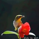 자산동167 이미지