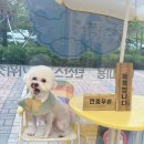멍욕탕 이미지