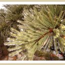 수락산역 3번출구 이미지