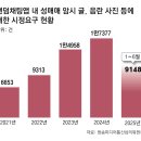 “15세 여중생” 띄우자 1분만에 “월500-스폰” 2025.12.9. 동아外 이미지