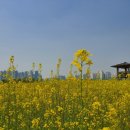 계양경기장 농구장 이미지