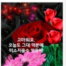 💞 당신이 행복했으면 좋겠습니다💞 이미지