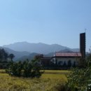 진산면 두지삼거리 이미지