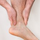 코끼리정형외과의원 이미지