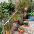 산장관광지 화장실(3) 이미지