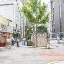 삼성생명 앞 노상 이미지