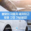 자동차세차 이미지