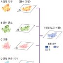 고려지리정보