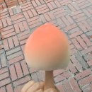 GS25 광주GIST점 | GS25 편의점 아이스크림 프로즌 상큼한 레몬 소르베 취향저격