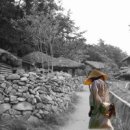 나그네일 Daum카페