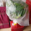 금성수지 이미지