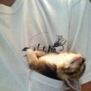 잠자는 숲속의 공주 이미지