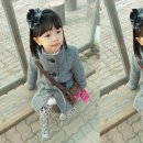 숙녀헤어센스 네이버블로그