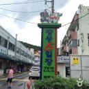 [강원도 태백시] 장성 전기고생대 화석 산지