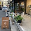 하유플라워 이미지
