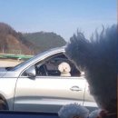 디짐 이미지