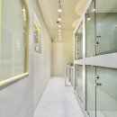 미미애견 이미지