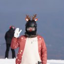 인터메리 이미지