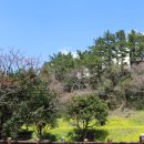 동부카-서비스 | 🚗 제주렌트카 예약은? 지금 할인 확인하고 가성비 연휴 여행 준비해요!