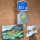 하우스못골 이미지