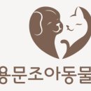 청운동물병원 이미지