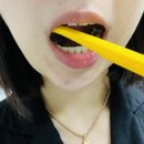 (주)트루바이오텍 | 미세모칫솔 투탁으로 교정기 유지장치 치석 관리