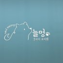 늘멍 | 부천 강아지유치원 늘멍 프라이빗 애견호텔 첫 방문기