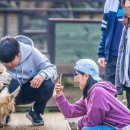 공항농장 이미지