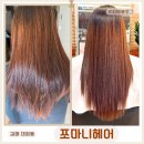 금지순미용실 | 장유미용실 쪼마니헤어 재생클리닉 극손상모 탈출후기