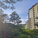 유프레시 | 초경 생리대 르프레시 유기농 생리대 사용후기