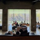 신샘밭로2 | 춘천여행 춘천 카페 추천 어스17 내돈내산 후기