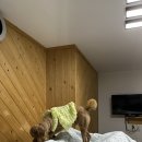 복덩이침구방