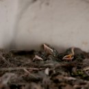 경남야생동물구조센터 이미지