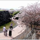 선진리성 Daum카페