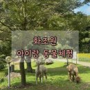 화조원 | 30개월 아이랑 화조원 다녀온 후기 / 먹이 체험