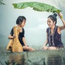 널부르는소리야 이미지