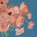 수우정보 이미지