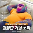 리도 | 한샘 리도 천연가죽 소파 4인용 후기 깔끔한 거실 소파 [리뷰하는 클레버콩]