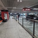 와와양꼬치 | 상하이 자유여행 1일차, 대한민국임시정부, 신천지에서 인생샷 찍고 미니기차 타고 와이탄으로!