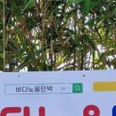 바다노을민박 이미지