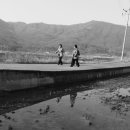 석모도 이야기 이미지