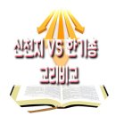 개들의성 이미지