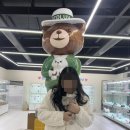 인천강아지분양 테디럽 이미지