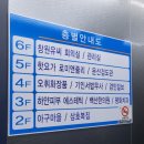 하얀피부 에스테틱 이미지
