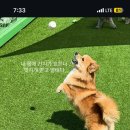 뒹굴개 이미지