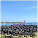 등대세천 이미지