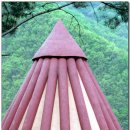 숲속의 휴식 이미지