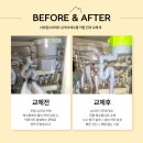 서초힐스경로당 | 🚰 서초힐스아파트 – 싱크대 배수통 막힘 &amp; 교체 사례